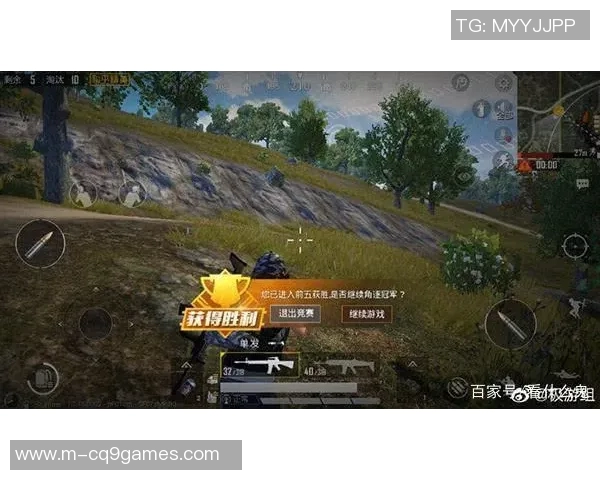 深度探讨周秀英在和平精英中的成长与人生哲学